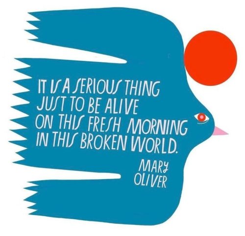 Photo post from jlythcotthaims.