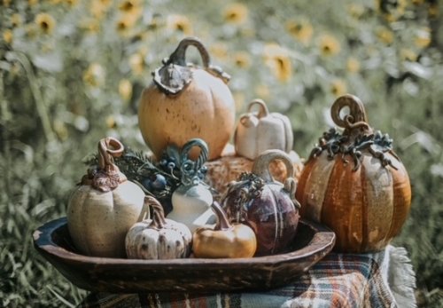 Photo post from theheartofnc.