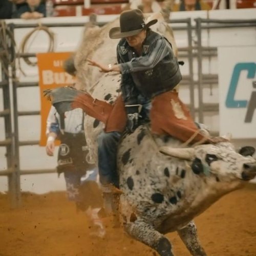 Video post from reddirthatco.