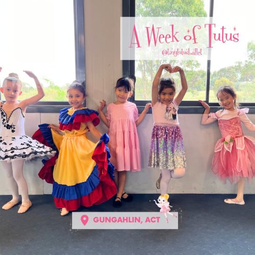 Carousel post from tinytutusballet.