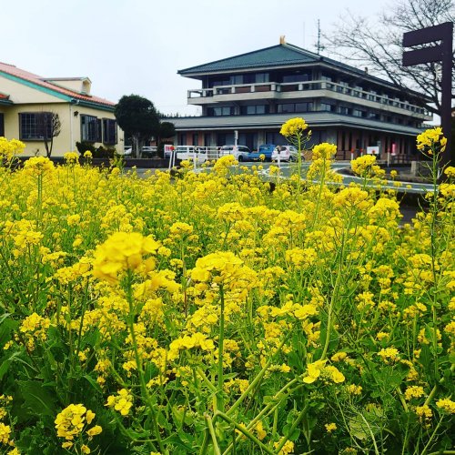Carousel post from houki_kanko.