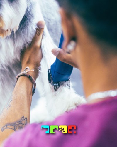 Photo post from medicalpettj.