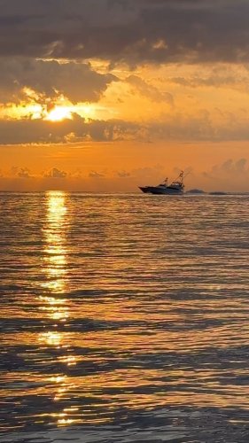 Video post from ejs_fishing_charters.