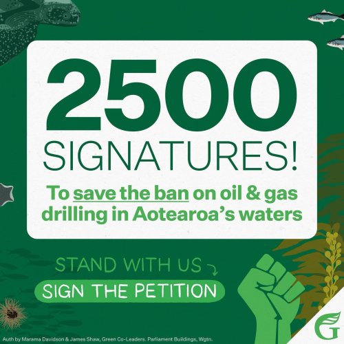 Photo post from nzgreenparty.