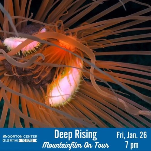 Video post from gortoncenterlf.