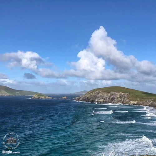 Photo post from dinglepeninsulatourism.