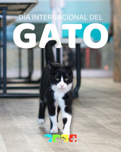 Photo post from medicalpettj.