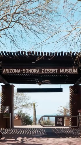 Video post from visittucson.