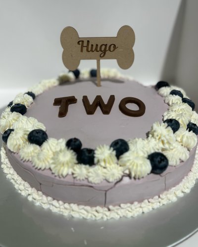 Carousel post from k9playtimedoggydaycare.