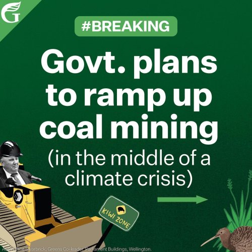 Carousel post from nzgreenparty.