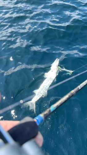 Video post from ejs_fishing_charters.