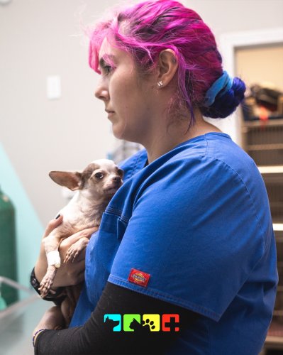 Photo post from medicalpettj.