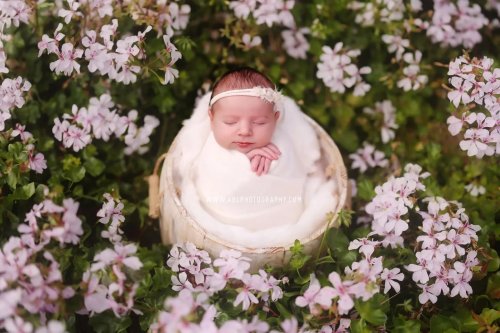 Photo post from abl_photography_sandiego.