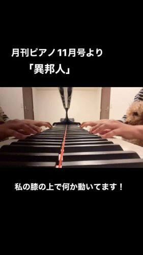 Video post from kitaharapiano.