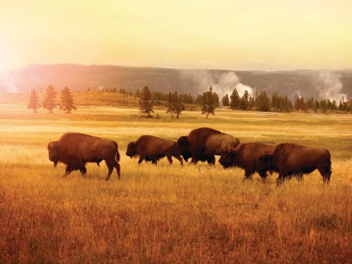 Photo post from taucktravel.