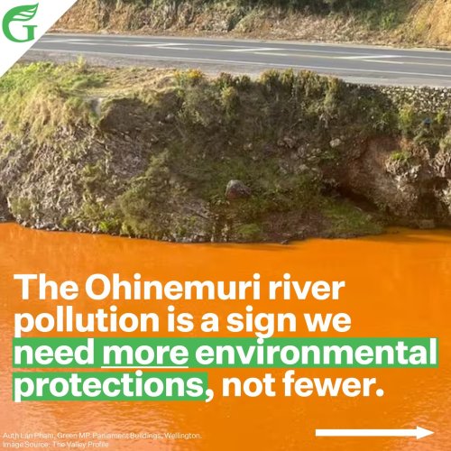 Carousel post from nzgreenparty.