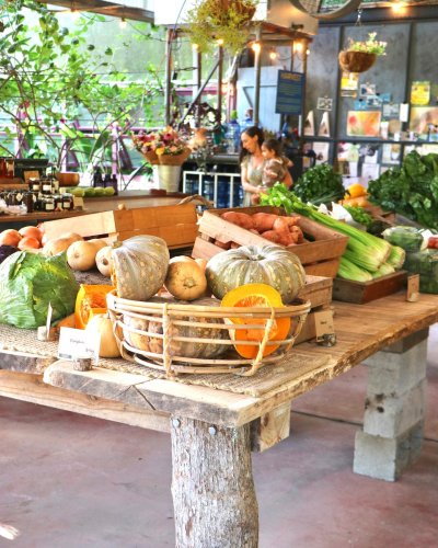 Photo post from currumbinvalleyharvest.