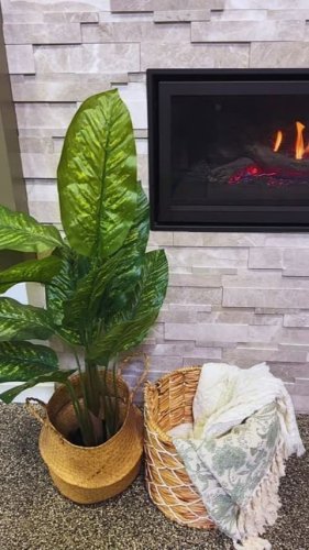 Video post from regencyfire.