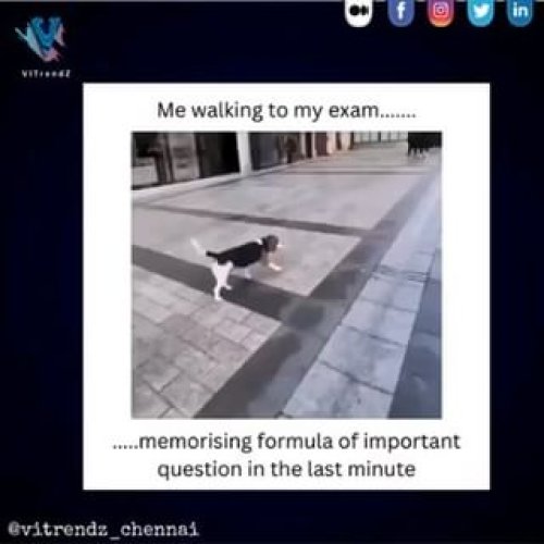 Video post from vitrendz_chennai.