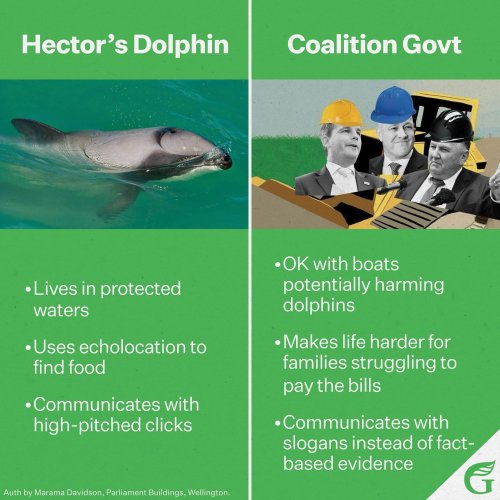 Photo post from nzgreenparty.