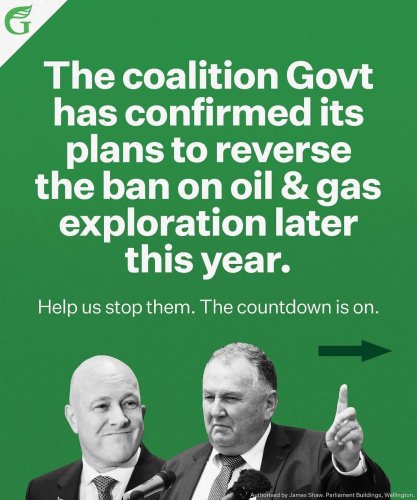 Carousel post from nzgreenparty.