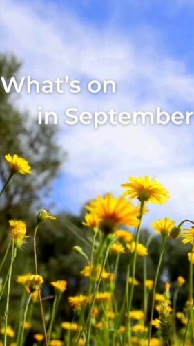 Video post from visitalburywodonga.