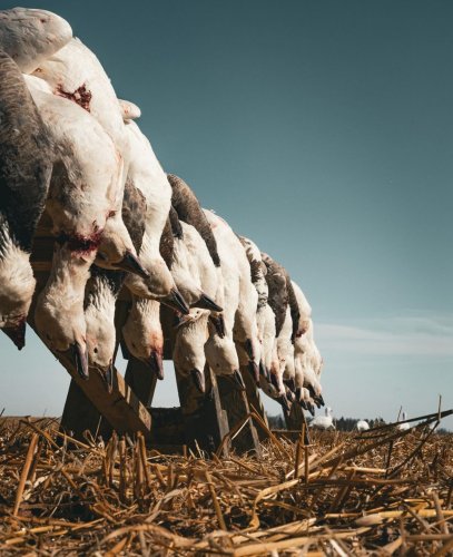 Photo post from northernskiesoutfitters.