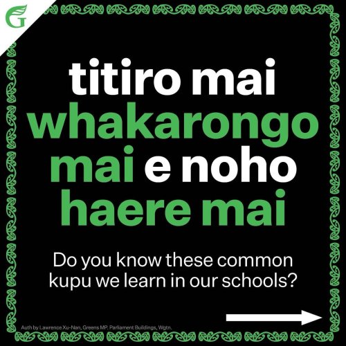 Carousel post from nzgreenparty.