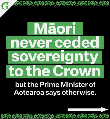 Carousel post from nzgreenparty.