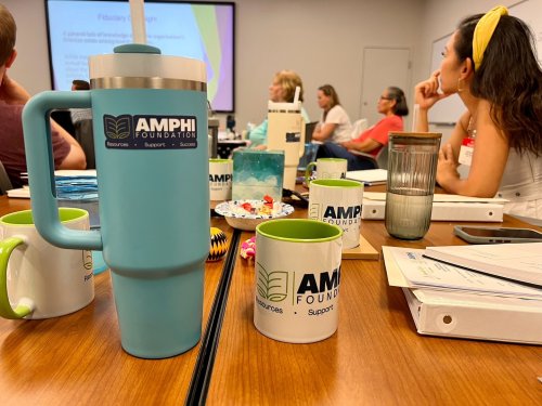 Carousel post from amphifoundation.