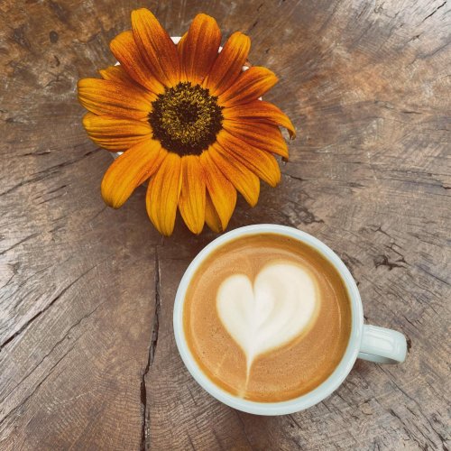 Photo post from equianocoffee.