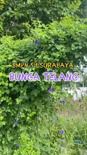 PostPhoto