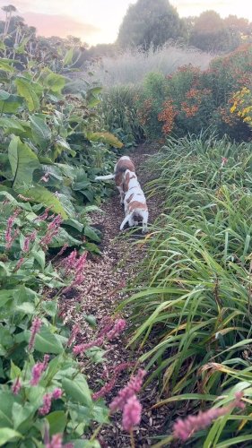 Video post from sussexprairies.