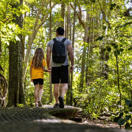 Carousel post from comvita_au.