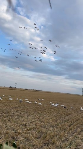 Video post from northernskiesoutfitters.