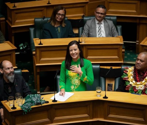 Carousel post from nzgreenparty.