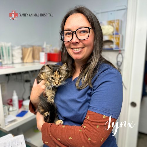 Photo post from familyanimalhospitalcm.