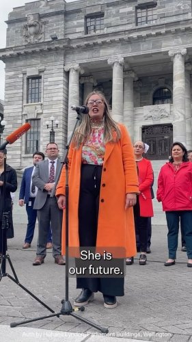 Video post from nzgreenparty.