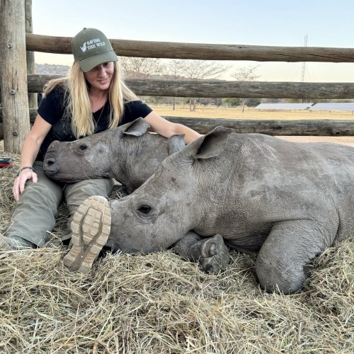 Photo post from comvita_au.