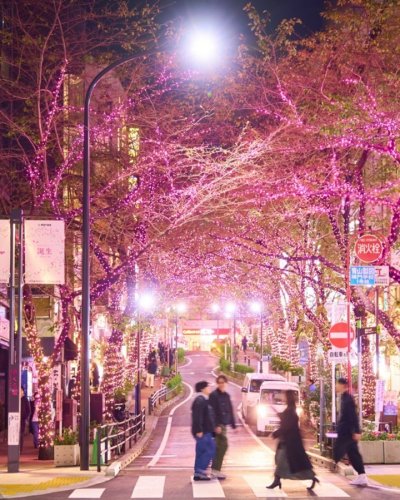 Carousel post from city_shibuya_official.