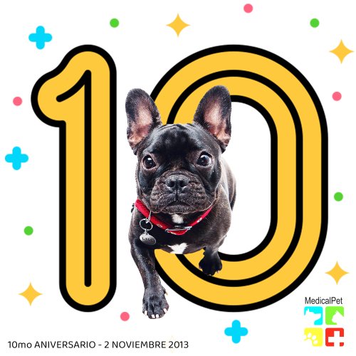 Photo post from medicalpettj.