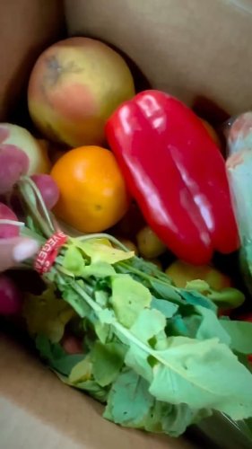 Video post from farmbox_arizona.