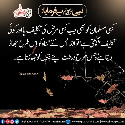Photo post from nighathashmi.