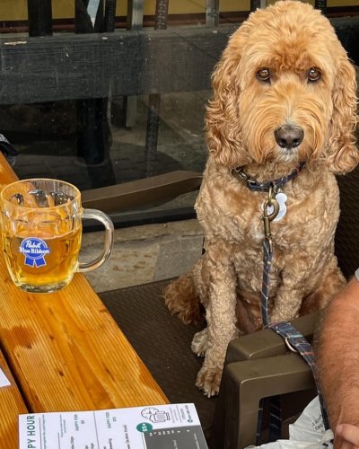 Carousel post from railandriverbistro.