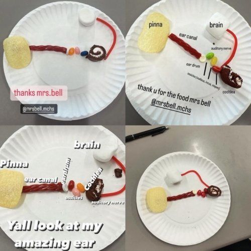 Photo post from mchsdistrict111.
