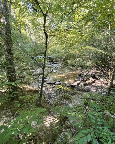 Photo post from theheartofnc.