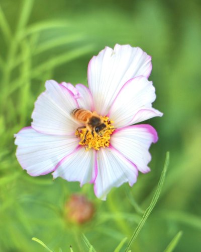 Carousel post from currumbinvalleyharvest.