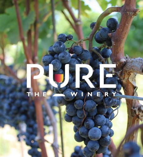 Photo post from purethewineryes.
