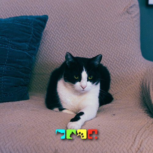 Photo post from medicalpettj.