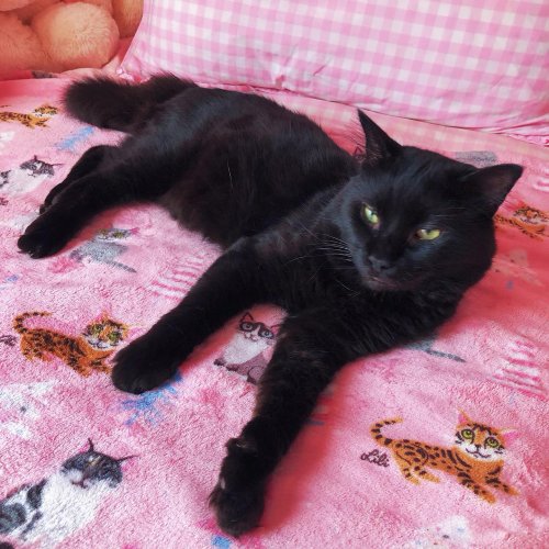 Photo post from margaritabloom.